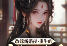 唐宁安薛星辰小说《改嫁新婚夜，重生的亡夫回来了》在线阅读-艾米文学