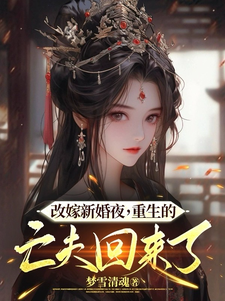 唐宁安薛星辰小说《改嫁新婚夜，重生的亡夫回来了》在线阅读