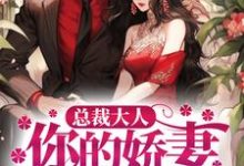 主人公叫叶展眉言止安若瑜南瑾的小说哪里免费看-艾米文学