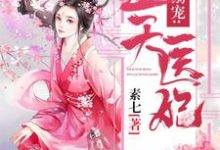 邪君溺宠：逆天医妃凰浅帝北爵小说免费阅读-艾米文学