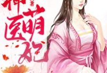 神医萌妃小说的无弹窗阅读体验,寻找免费阅读网站-艾米文学