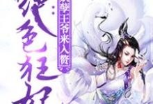 主角叫云轻狂封夜宸扶苏的小说在哪阅读-艾米文学