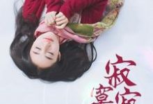 寂寞寂寞就好这本小说怎么样？免费在线阅读试试-艾米文学