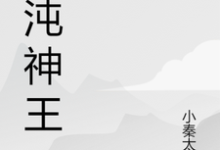 李毅为主角的小说叫什么？免费看混沌神王-艾米文学