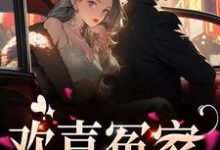 在线寻找欢喜冤家小说的无删减版本-艾米文学