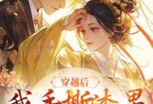 已完结小说《穿越后，我手撕渣男成王妃》在线章节阅读-艾米文学