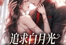已完结小说《追求白月光，总裁追妻路漫漫》章节在线阅读-艾米文学