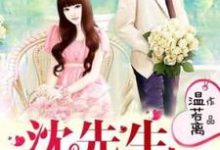 完结版《沈先生又发糖了！》章节阅读-艾米文学