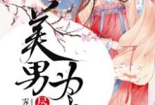 美男为我尽折腰小说无弹窗阅读的网站推荐-艾米文学