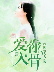 爱你入骨小说，爱你入骨在线阅读