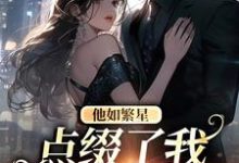 小说《他如繁星，点缀了我整个星空》在线章节阅读-艾米文学