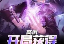 求高武：开局获得氪命系统小说免费资源-艾米文学