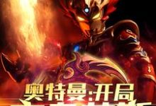 主角陈锋西雅小说奥特曼：开局变身艾斯免费阅读-艾米文学