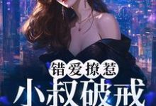 《错爱撩惹：小叔破戒缠宠我》小说大结局免费试读 男主角时宴女主角南乔小说-艾米文学