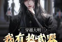 穿越大明,我有热武器正常吧?朱由校朱由检,穿越大明,我有热武器正常吧?章节在线阅读-艾米文学