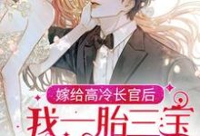 嫁给高冷长官后,我一胎三宝被团宠了小说全文哪里可以免费看?-艾米文学
