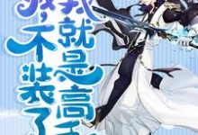完结版《我，不装了，我就是高手》章节阅读-艾米文学