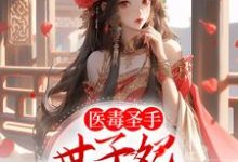 医毒圣手：世子妃举世无双小说，医毒圣手：世子妃举世无双章节在线阅读-艾米文学