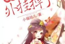 陶玉卿项衡的完整故事在哪里？读娘子，你的外挂掉了小说-艾米文学
