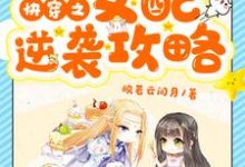 快穿之女配逆袭攻略小说的无弹窗阅读体验，寻找免费阅读网站-艾米文学