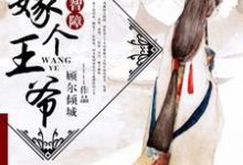 嫁个王爷是智障主角顾倾陈道陵洛冰鸾顾末小说完结版章节在线阅读-艾米文学