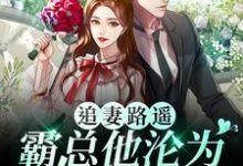 求追妻路遥：霸总他沦为妻奴啦小说免费资源-艾米文学