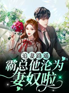 求追妻路遥：霸总他沦为妻奴啦小说免费资源