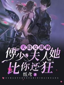 男女主人公叫孟晚清傅司城的小说免费资源