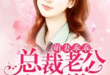 完结版《萌妻乖乖:总裁老公好霸道》章节阅读-艾米文学