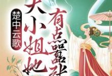 楚中云歌：大小姐她有点嚣张小说最新更新在哪里？免费在线看-艾米文学