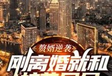 赘婿逆袭：刚离婚就和校花同居叶秋白在线章节免费阅读-艾米文学