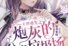 末世重生之炮灰的分类垃圾场小说的无弹窗阅读体验，寻找免费阅读网站-艾米文学