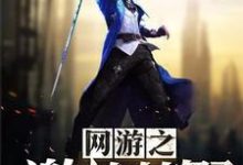 完结版《网游之激战荒野》章节目录在线阅读-艾米文学