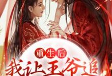 重生后，我让王爷追妻火葬场了小说，重生后，我让王爷追妻火葬场了在线阅读-艾米文学