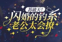 苏破天！闪婚的钓系老公太会撩小说完结版章节免费阅读-艾米文学