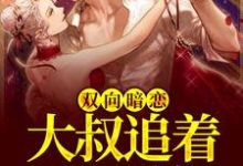 双向暗恋:大叔追着我不放小说的免费电子版在哪里可以下载或阅读?-艾米文学