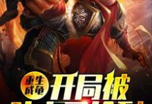 《重生成龟:开局被孙大圣捡到》小说大结局免费试读 林放杨婵小说-艾米文学
