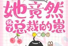 小说《一夜情后，她竟然怀了总裁的崽》在线章节阅读-艾米文学