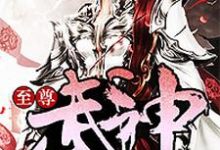 至尊武神小说，至尊武神在线阅读-艾米文学
