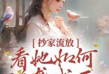 抄家流放?看她如何逆袭成王!唐婉,抄家流放?看她如何逆袭成王!在线无弹窗阅读-艾米文学