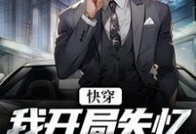 《快穿：我开局失忆，入赘云家》小说章节在线试读，《快穿：我开局失忆，入赘云家》最新章节目录-艾米文学