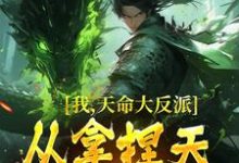 免费阅读紫霄为主角的小说，我，天命大反派，从拿捏天道开始在线看-艾米文学