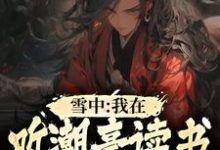 主角徐麒麟小说完结版在线阅读，雪中：我在听潮亭读书成陆地神仙免费看-艾米文学