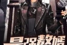 完结版《最强赘婿》在线免费阅读-艾米文学