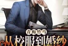 求青梅竹马：从校服到婚纱从来只有你小说的全文免费阅读链接-艾米文学