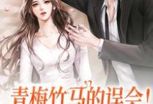 完结版《青梅竹马的误会!七年终于说开啦》在线免费阅读-艾米文学