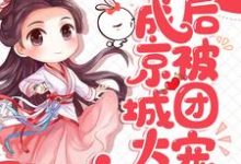 主角叫苏音音北辰煜小说真千金成京城大佬后被团宠了章节免费阅读-艾米文学