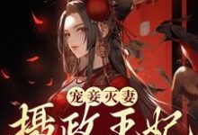 哪里能找到宠妾灭妻？摄政王妃她不干了小说的最新更新和免费章节？-艾米文学