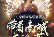 小说《穿成极品恶婆婆,带着商城去逃荒》章节免费阅读-艾米文学