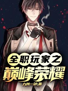 全职玩家之巅峰荣耀小说的无弹窗阅读体验，寻找免费阅读网站